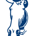 Colts-2