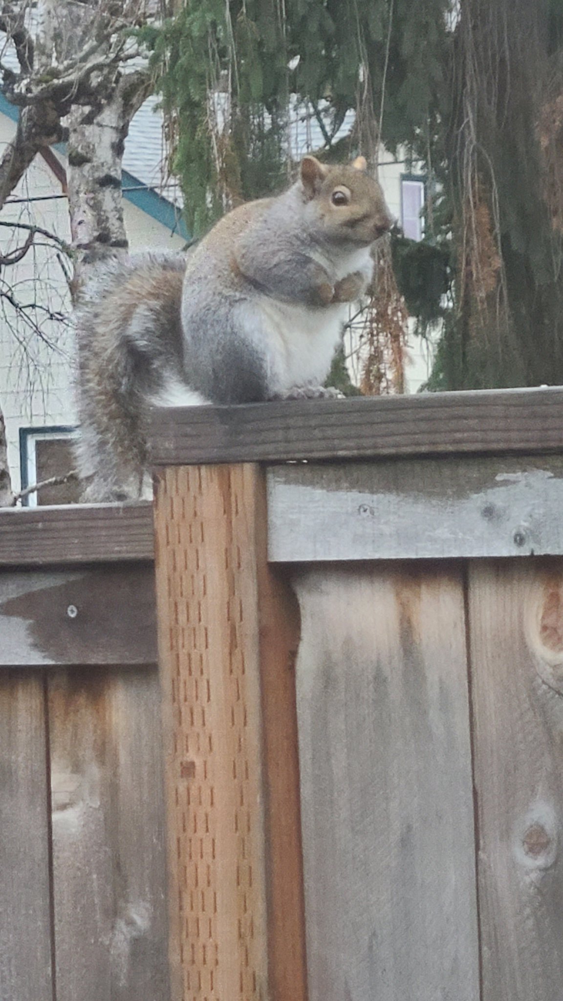 Thats nuts