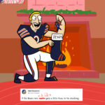Bears