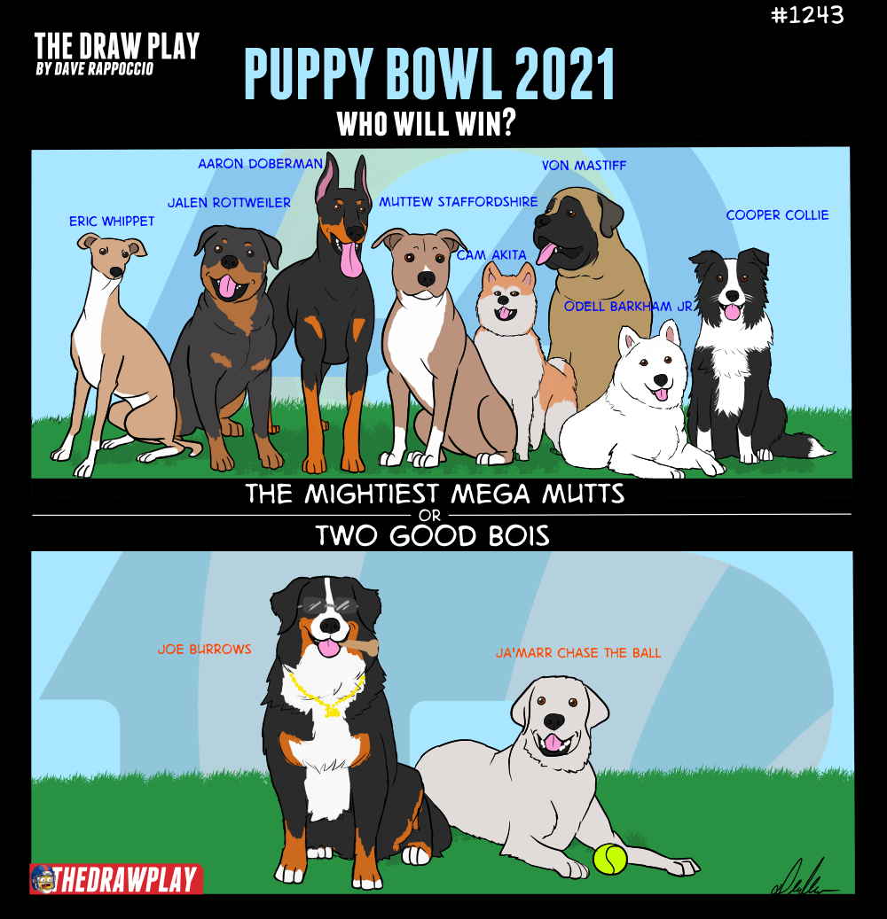 2022-02-11-PuppyBowl2022