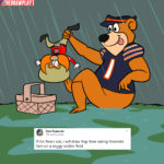 Bears