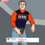 Bears