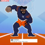 Bears