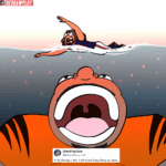 Bengals