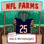 Bears