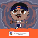 Bears